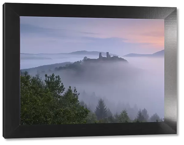 Altdahn Castle in sea of fog, Dahn, Palatinate Forest, Rhineland-Palatinate, Germany