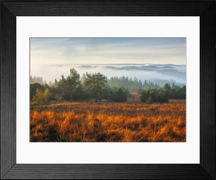Framed Print : Morning atmosphere at Schliffkopf, Black Forest National Park, Black Forest, Baden-Wuerttemberg, Germany, Europe Framed Print : Morning atmosphere at Schliffkopf, Black Forest National Park, Black Forest, Baden-Wuerttemberg, Germany, Europe