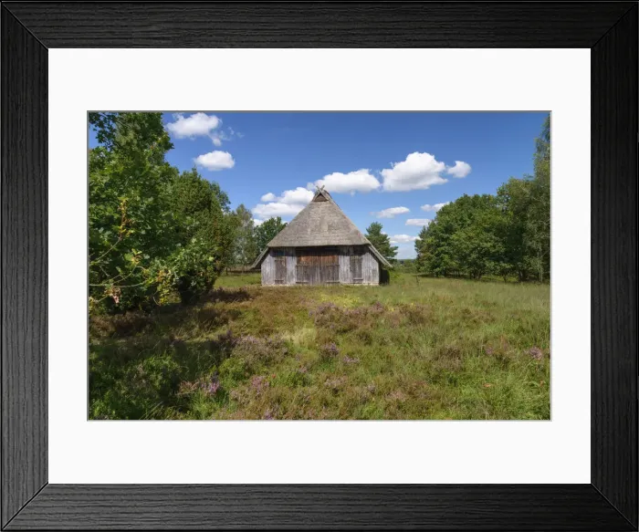 Framed Print : Barn for sheep in heathland (Calluna vulgaris), Lueneburg Heath in Lower Saxony, Germany Framed Print : Barn for sheep in heathland (Calluna vulgaris), Lueneburg Heath in Lower Saxony, Germany