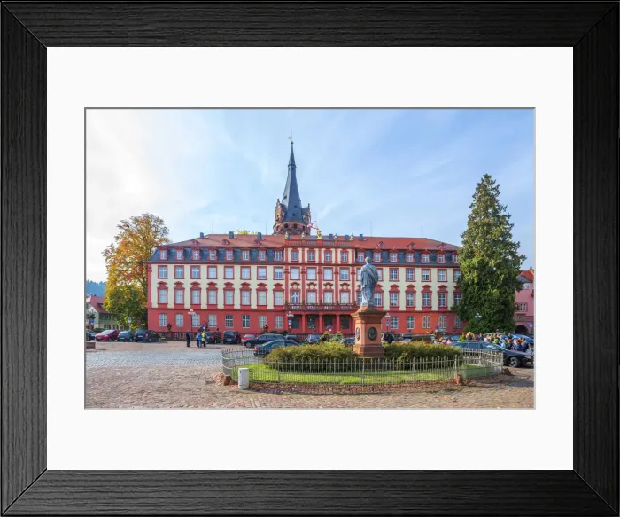 Framed Print : Erbach palace, Erbach, Odenwald, Hesse, Germany Framed Print : Erbach palace, Erbach, Odenwald, Hesse, Germany