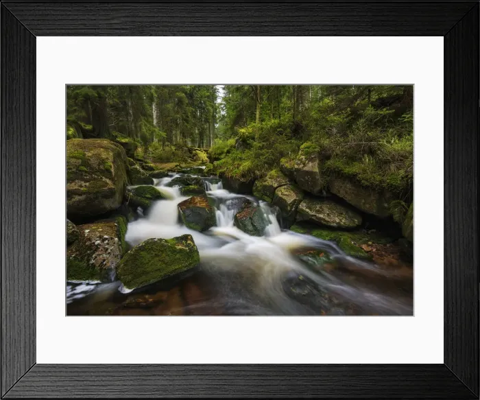 Framed Print : Warme Bode, Braunlage, Nationalpark Harz, Braunlage, Niedersachsen, Deutschland, Europa Framed Print : Warme Bode, Braunlage, Nationalpark Harz, Braunlage, Niedersachsen, Deutschland, Europa