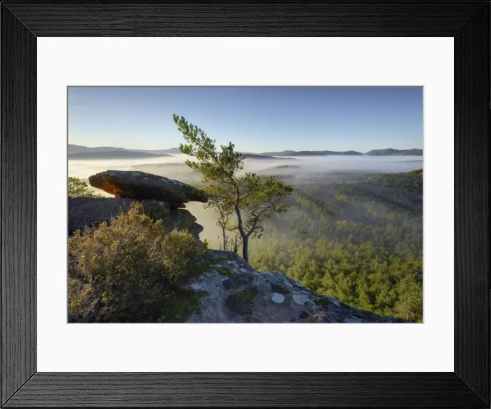 Framed Print : Sea of fog in the Palatinate Forest in the morning, Dahner Felsenland, Palatinate Forest