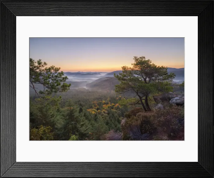 Framed Print : Morning atmosphere at Palatinate Forest, Dahner Felsenland, Palatinate Forest Framed Print : Morning atmosphere at Palatinate Forest, Dahner Felsenland, Palatinate Forest