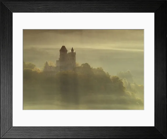 Framed Print : View of Berwartstein castle at the Palatinate Forest, Nature Reserve, Palatinate Framed Print : View of Berwartstein castle at the Palatinate Forest, Nature Reserve, Palatinate