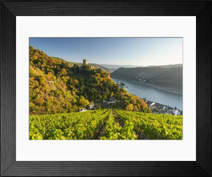 Framed Print : Gutenfels Castle with vineyards in the foreground, Kaub Framed Print : Gutenfels Castle with vineyards in the foreground, Kaub
