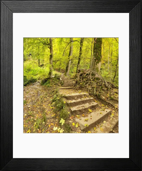 Framed Print : Stairways to Bad Urach Waterfall, Swabian Jura, Baden- Wurttemberg, Germany Framed Print : Stairways to Bad Urach Waterfall, Swabian Jura, Baden- Wurttemberg, Germany