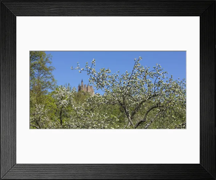 Framed Print : Spring at Hohenzollern Castle, Swabian Jura, Baden-Wurttemberg, Germany