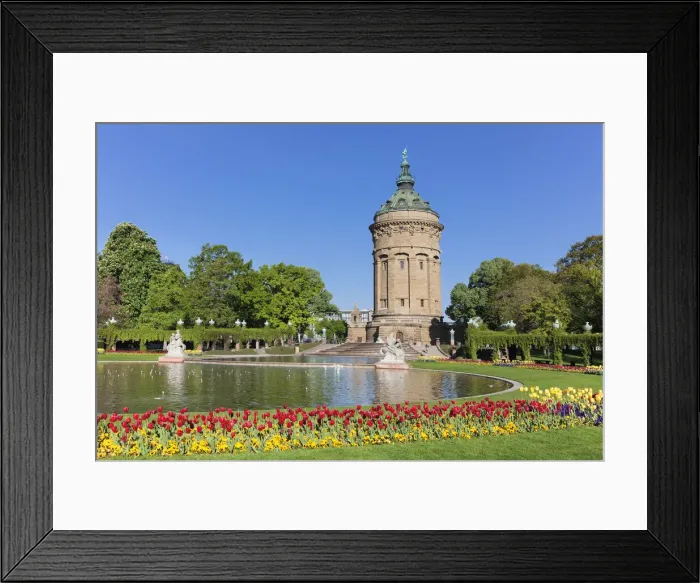 Framed Print : Tulips at Friedrichsplatz with water tower, Mannheim, Baden-Wurttemberg, Germany Framed Print : Tulips at Friedrichsplatz with water tower, Mannheim, Baden-Wurttemberg, Germany