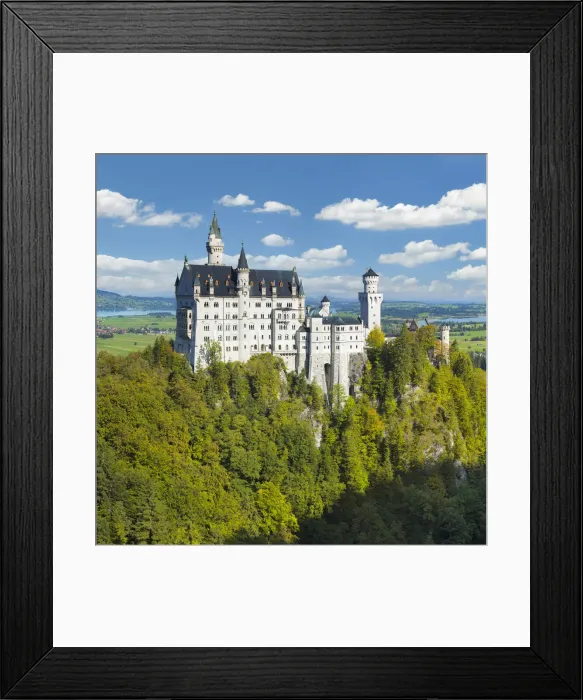Framed Print : Neuschwanstein Castle, Schwangau, Allgau, Swabia, Bavaria, Germany Framed Print : Neuschwanstein Castle, Schwangau, Allgau, Swabia, Bavaria, Germany
