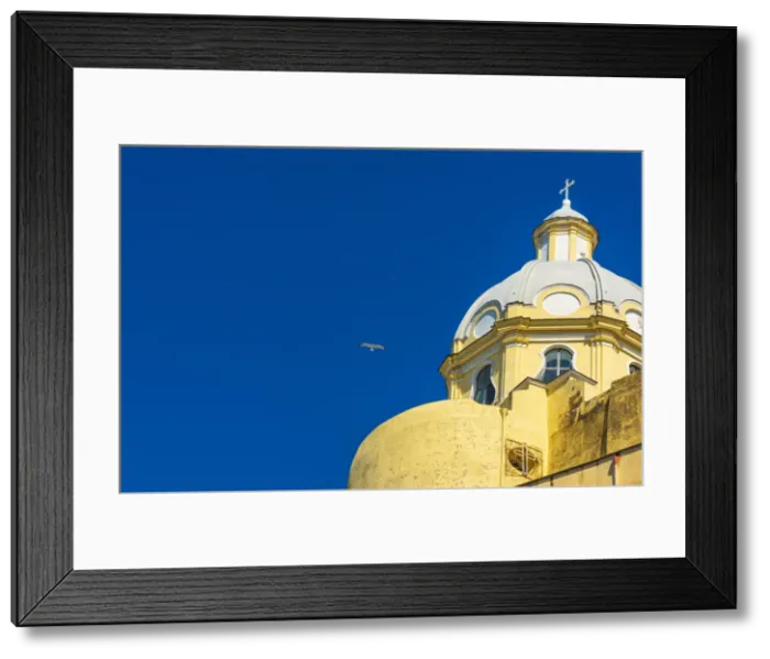 Framed Print : Europe, Italy, Campania. The church Santa Maria in Procida in Marina Corricella Framed Print : Europe, Italy, Campania. The church Santa Maria in Procida in Marina Corricella