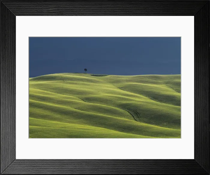 Framed Print : A lonely tree standing on top of the hill. Crete Senesi, Tuscany, Italy Framed Print : A lonely tree standing on top of the hill. Crete Senesi, Tuscany, Italy
