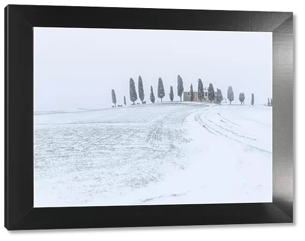 Tuscan countryside during a blizzard, Val d Orcia, Tuscany, Italy