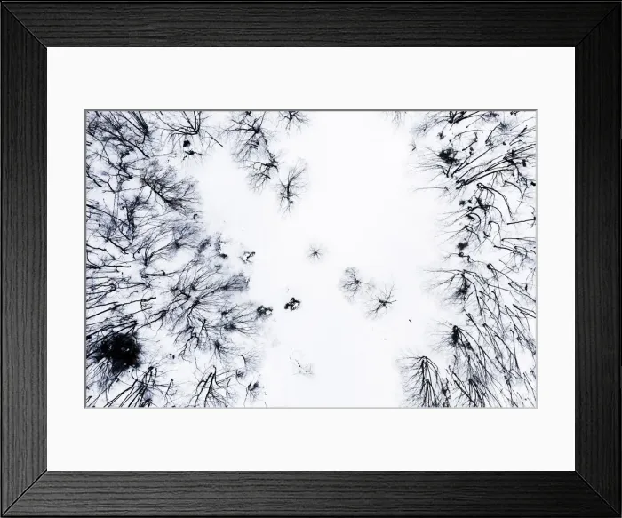 Framed Print : Aerial view of a dead forest during winter in the Apuan Alps, Tuscany, Italy Framed Print : Aerial view of a dead forest during winter in the Apuan Alps, Tuscany, Italy