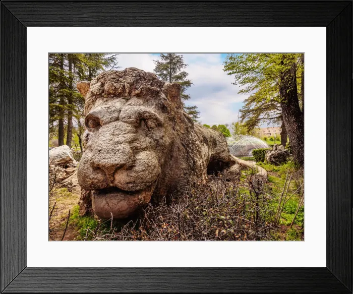 Framed Print : Lion Sculpture in Ifrane, coldest place in Africa, Middle Atlas, Fez-Meknes Region Framed Print : Lion Sculpture in Ifrane, coldest place in Africa, Middle Atlas, Fez-Meknes Region