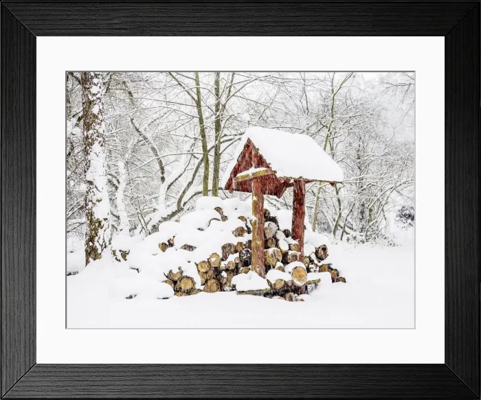Framed Print : Wooden logs in the forest by the Zemborzycki Lake at snowstorm, Lublin Framed Print : Wooden logs in the forest by the Zemborzycki Lake at snowstorm, Lublin