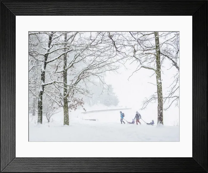 Framed Print : Kids on sledges by the Zemborzycki lakefront at snowstorm, Lublin, Lublin Voivodeship Framed Print : Kids on sledges by the Zemborzycki lakefront at snowstorm, Lublin, Lublin Voivodeship