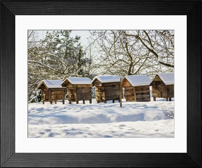 Framed Print : Beehives at Lublin Open Air Museum, winter, Lublin Voivodeship, Poland Framed Print : Beehives at Lublin Open Air Museum, winter, Lublin Voivodeship, Poland
