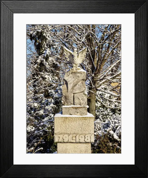 Framed Print : Constitution of 3 May memorial, Lithuanian Square, winter, Lublin, Lublin Voivodeship Framed Print : Constitution of 3 May memorial, Lithuanian Square, winter, Lublin, Lublin Voivodeship
