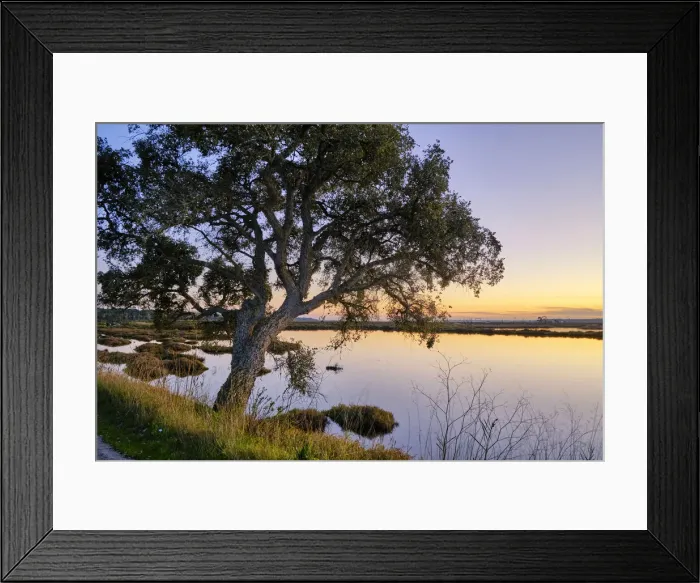 Framed Print : Marshes in the Sado Estuary Nature Reserve. Palmela, Portugal Framed Print : Marshes in the Sado Estuary Nature Reserve. Palmela, Portugal