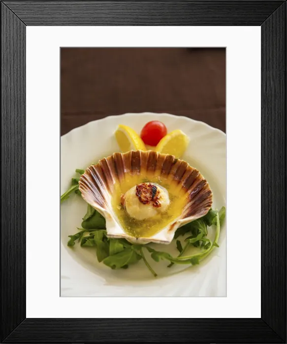 Framed Print : Fresh scallop, Piran, Istria, Slovenia Framed Print : Fresh scallop, Piran, Istria, Slovenia