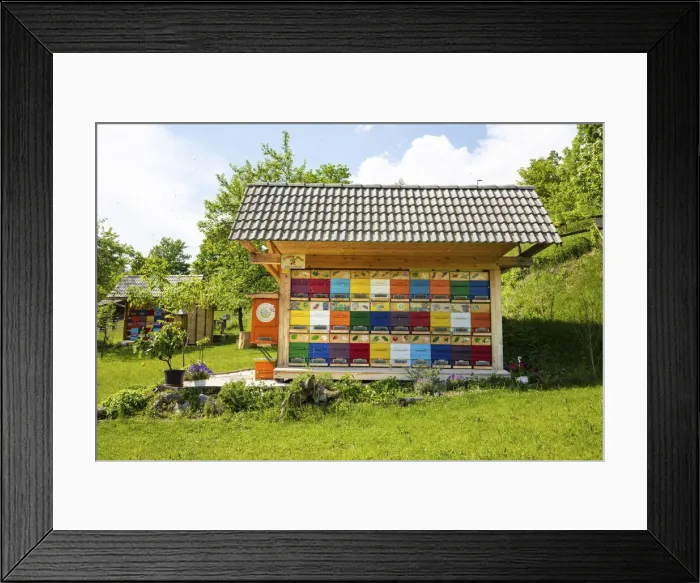 Framed Print : Beekeeping, Bled, Slovenia Framed Print : Beekeeping, Bled, Slovenia