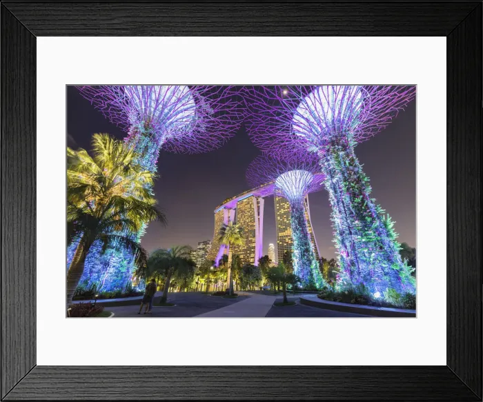 Framed Print : Supertrees and Marina Bay Sands, Gardens by the Bay, Singapore City, Singapore Framed Print : Supertrees and Marina Bay Sands, Gardens by the Bay, Singapore City, Singapore