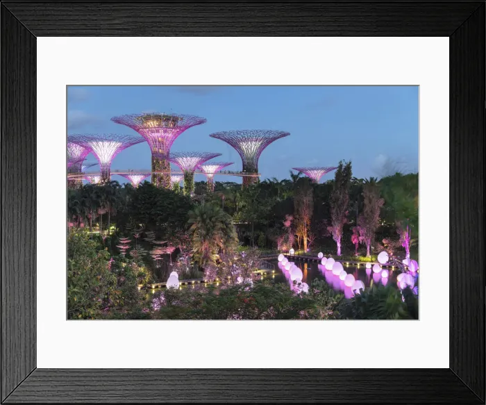 Framed Print : # Futuretogether, artwork from Teamlab Art, Super Trees, Gardens by the Bay Framed Print : # Futuretogether, artwork from Teamlab Art, Super Trees, Gardens by the Bay
