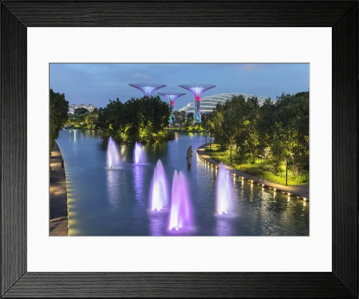 Framed Print : Dragonfly Lake and Supertrees, Gardens by the Bay, Singapore City, Singapore Framed Print : Dragonfly Lake and Supertrees, Gardens by the Bay, Singapore City, Singapore