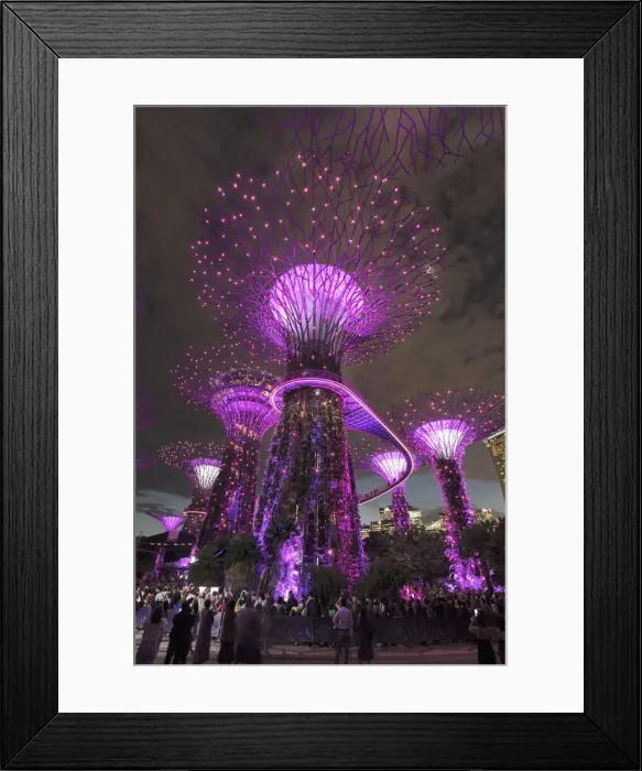 Framed Print : Supertrees, Gardens by the Bay, Singapur City, Singapore City, Singapore