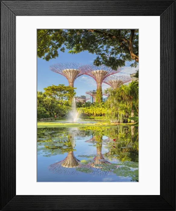 Framed Print : Supertrees reflecting in a lake, Gardens by the Bay, Singapore City, Singapore, Asia