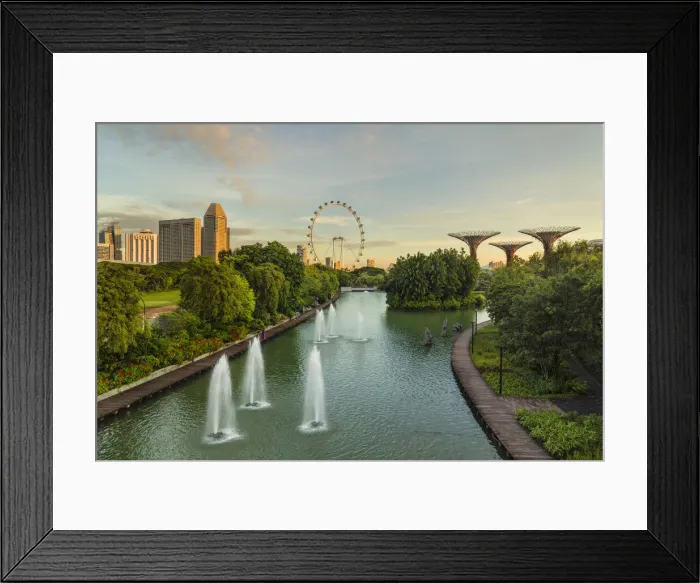 Framed Print : View from Dragonfly Lake to Singapore Flyer at sunrise, Gardens by the Bay Framed Print : View from Dragonfly Lake to Singapore Flyer at sunrise, Gardens by the Bay