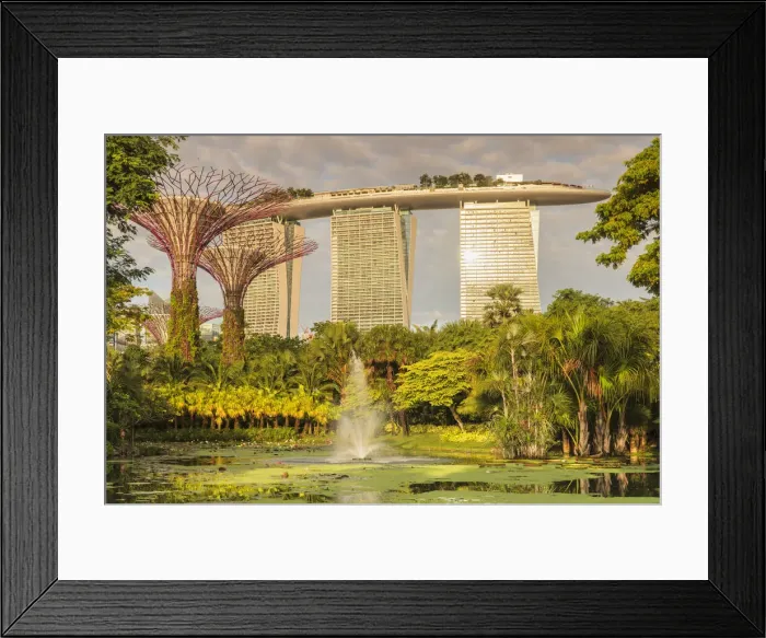 Framed Print : View from Gardens by the Bay to Marina Bay Sands Hotel, Gardens by the Bay Framed Print : View from Gardens by the Bay to Marina Bay Sands Hotel, Gardens by the Bay