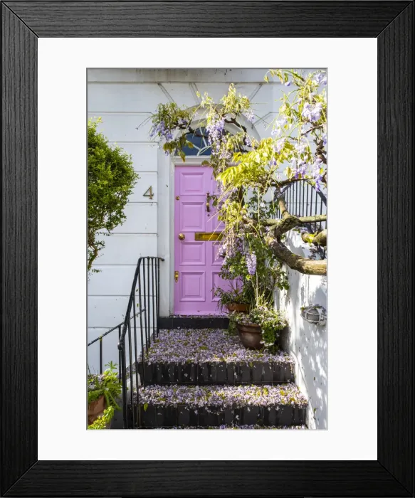 Framed Print : Wysteria growing infront of a house in Kensington, London, England, UK