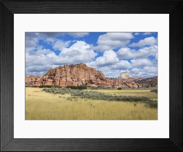 Framed Print : Rock formations, Zion nationl park, Utah, USA