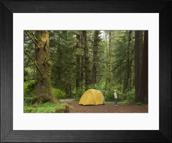 Framed Print : USA, California, North Coast, Humboldt County, Prairie Creek Redwoods State Park MR Framed Print : USA, California, North Coast, Humboldt County, Prairie Creek Redwoods State Park MR
