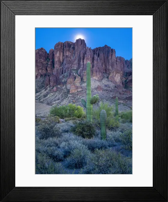 Framed Print : USA, Arizona, Southwest, Maricopa County, Apache Junction, Lost Dutchman State Park Framed Print : USA, Arizona, Southwest, Maricopa County, Apache Junction, Lost Dutchman State Park