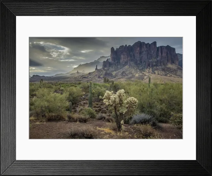 Framed Print : USA, Arizona, Southwest, Maricopa County, Apache Junction, Lost Dutchman State Park Framed Print : USA, Arizona, Southwest, Maricopa County, Apache Junction, Lost Dutchman State Park