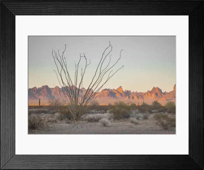 Framed Print : USA; Southwest, Arizona, Kofa Mountains Framed Print : USA; Southwest, Arizona, Kofa Mountains