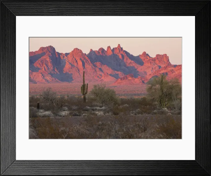 Framed Print : USA; Southwest, Arizona, Kofa Mountains Framed Print : USA; Southwest, Arizona, Kofa Mountains