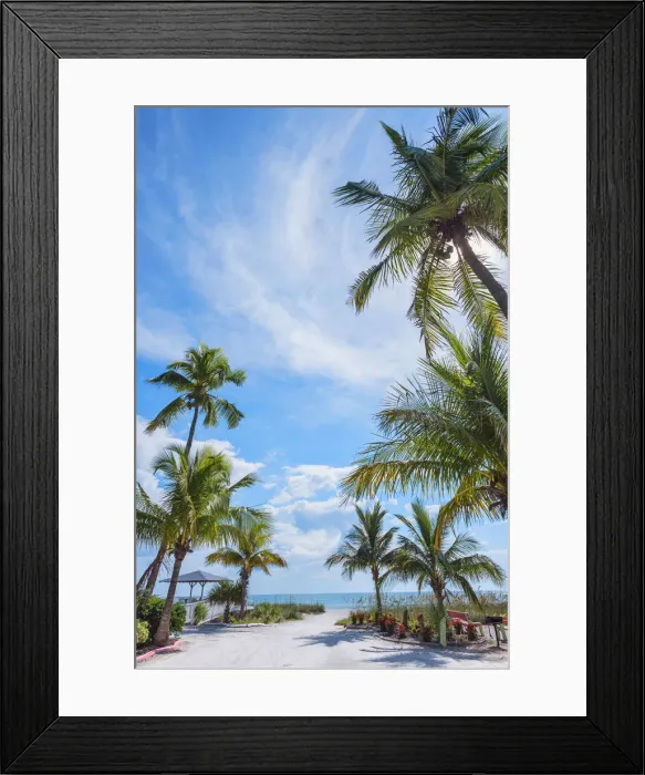 Framed Print : Beach, Sanibel Island, Florida, USA