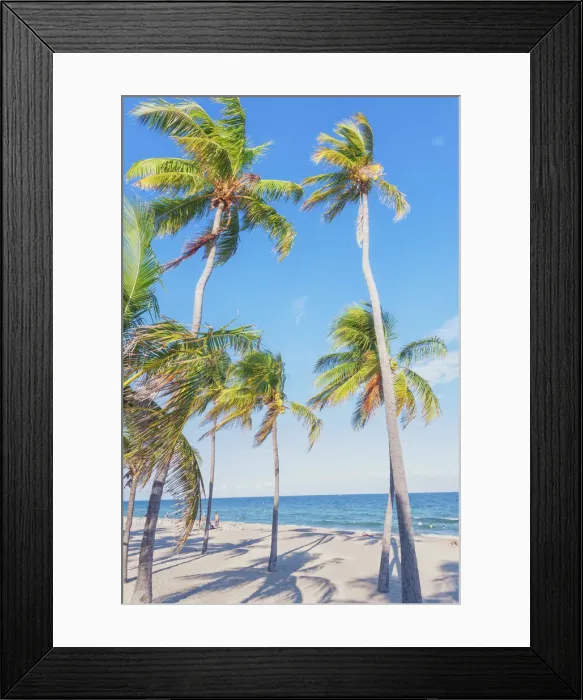 Framed Print : Fort Lauderdale beach, Fort Lauderdale, Broward County, Florida, USA Framed Print : Fort Lauderdale beach, Fort Lauderdale, Broward County, Florida, USA