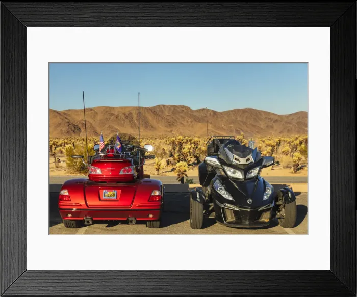 Framed Print : Motorcycles at Cholla Cactus Garden Trail, Joshua Tree National Park