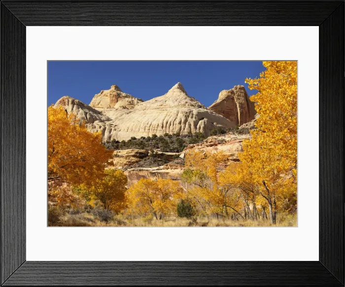 Framed Print : Capitol Dome in autumn, Capitol Reef National Park, Utah, USA Framed Print : Capitol Dome in autumn, Capitol Reef National Park, Utah, USA