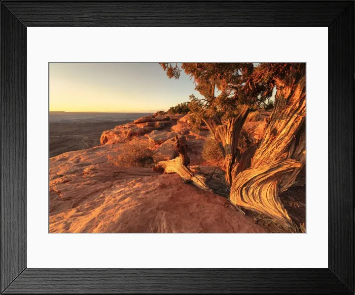 Framed Print : Grand View Point, Canyonlands National Park, Utah, USA Framed Print : Grand View Point, Canyonlands National Park, Utah, USA