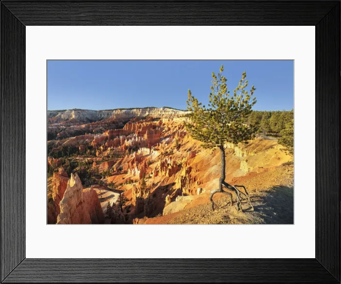 Framed Print : Bryce Canyon National Park, Colorado Plateau, Utah, USA