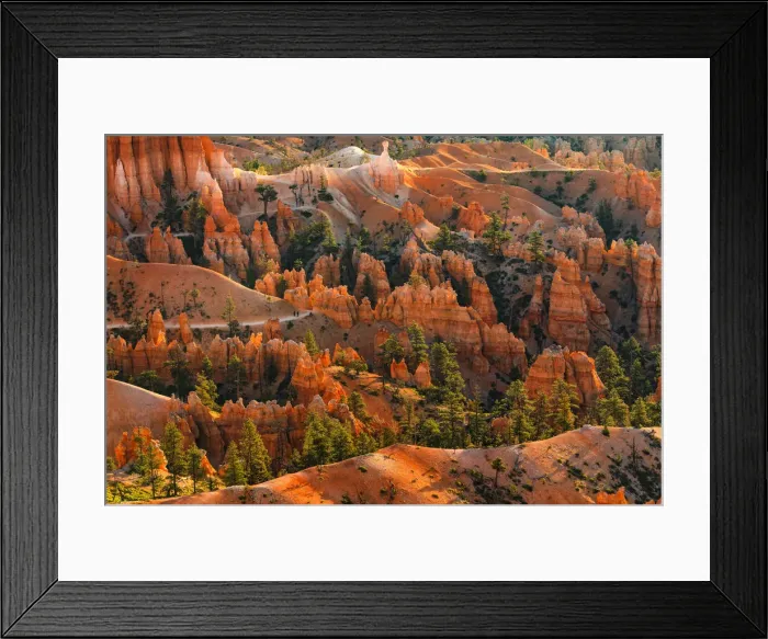 Framed Print : Bryce Canyon National Park, Colorado Plateau, Utah, USA Framed Print : Bryce Canyon National Park, Colorado Plateau, Utah, USA