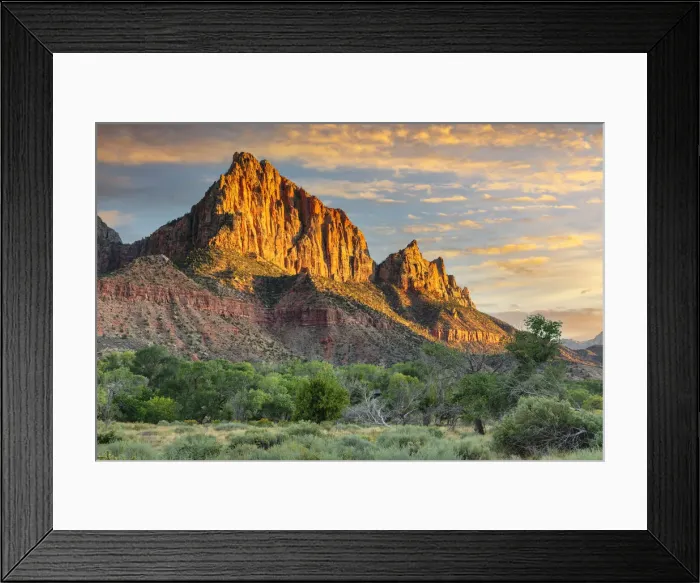 Framed Print : Watchman Mountain at sunset, Zion Nationalpark, Colorado Plateau, Utah, USA