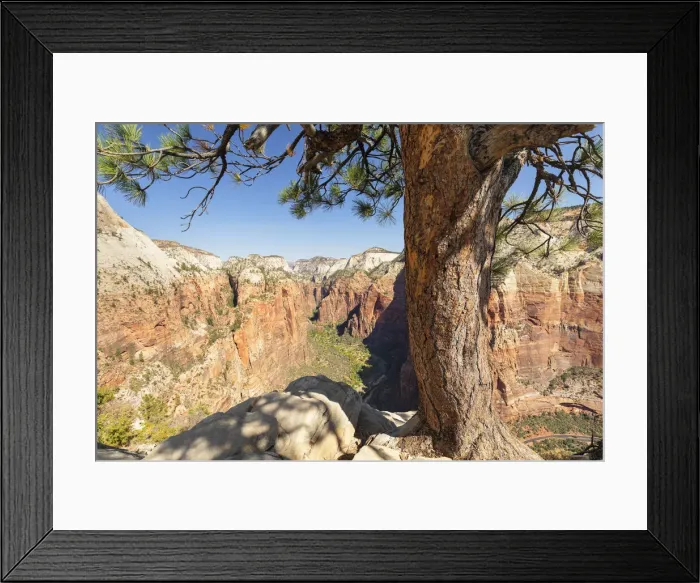 Framed Print : View from Angels Landing into Zion Canyon, Zion National Park; Colorado Plateau; Utah