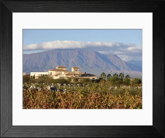 Framed Print : The Bodega Piattelli'winery surrounded by its vineyards in autumn Framed Print : The Bodega Piattelli'winery surrounded by its vineyards in autumn