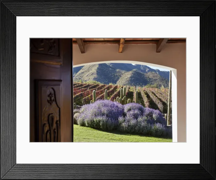Framed Print : View of the vineyards in autumn through the door of the Bodega San Pedro de Yacochuya Framed Print : View of the vineyards in autumn through the door of the Bodega San Pedro de Yacochuya